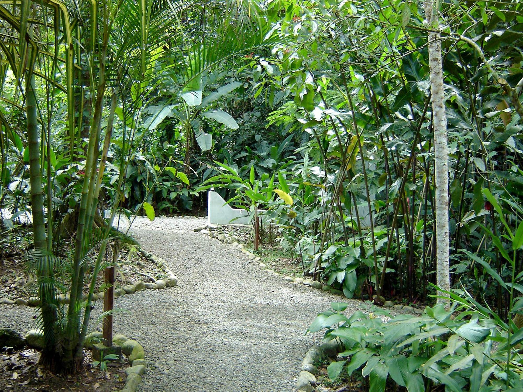 El Colibri Lodge Manzanillo  Exteriör bild