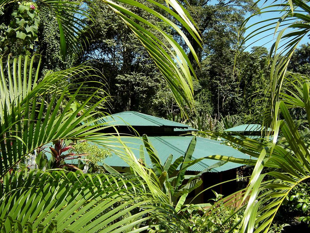 El Colibri Lodge Manzanillo  Exteriör bild