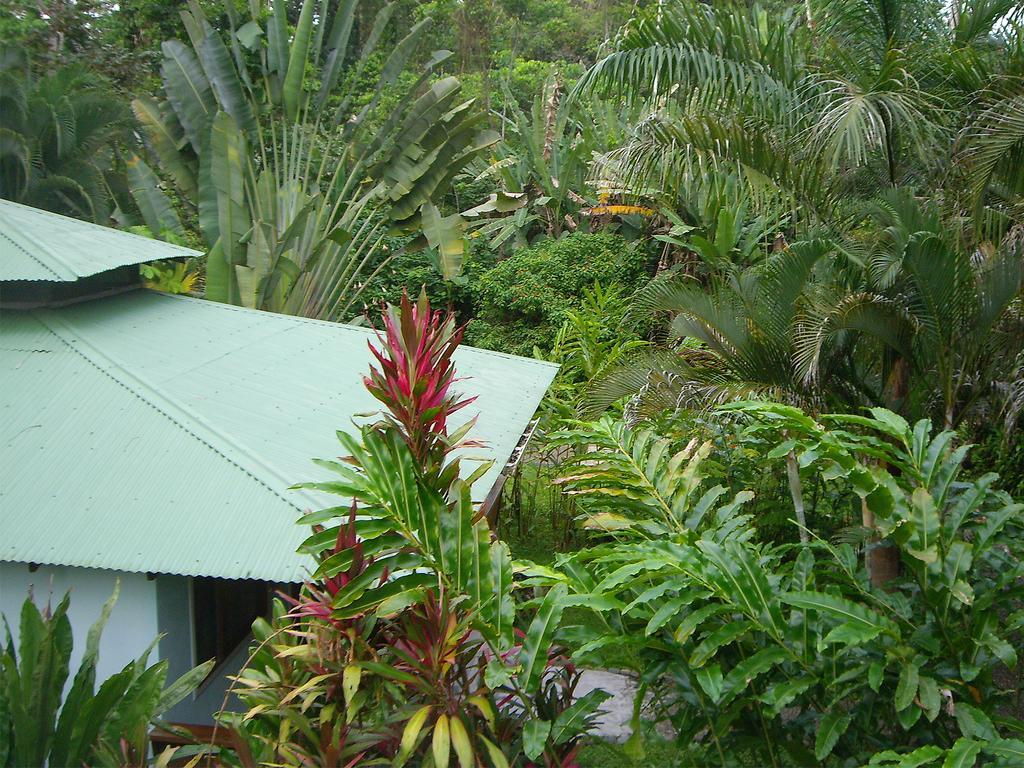 El Colibri Lodge Manzanillo  Exteriör bild